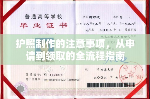 城东护照制作的注意事项，从申请到领取的全流程指南