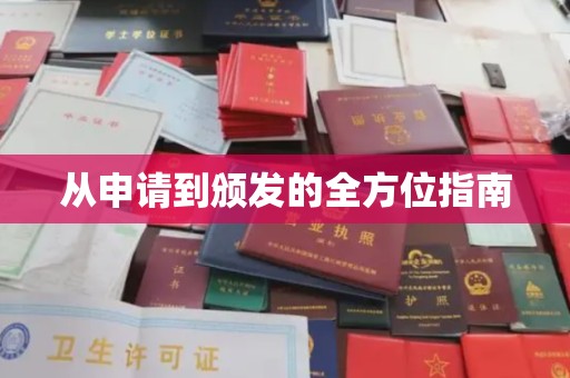 城东从申请到颁发的全方位指南