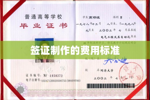 城东签证制作的费用标准