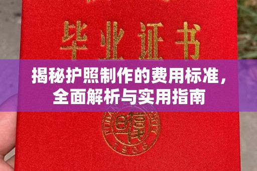 城东揭秘护照制作的费用标准，全面解析与实用指南