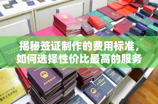 城东揭秘签证制作的费用标准，如何选择性价比最高的服务？
