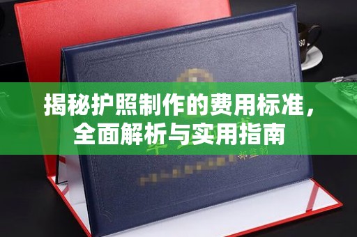 城东揭秘护照制作的费用标准，全面解析与实用指南
