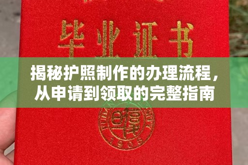 城东揭秘护照制作的办理流程，从申请到领取的完整指南